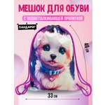 Мешок для обуви ПАНДАРОГ