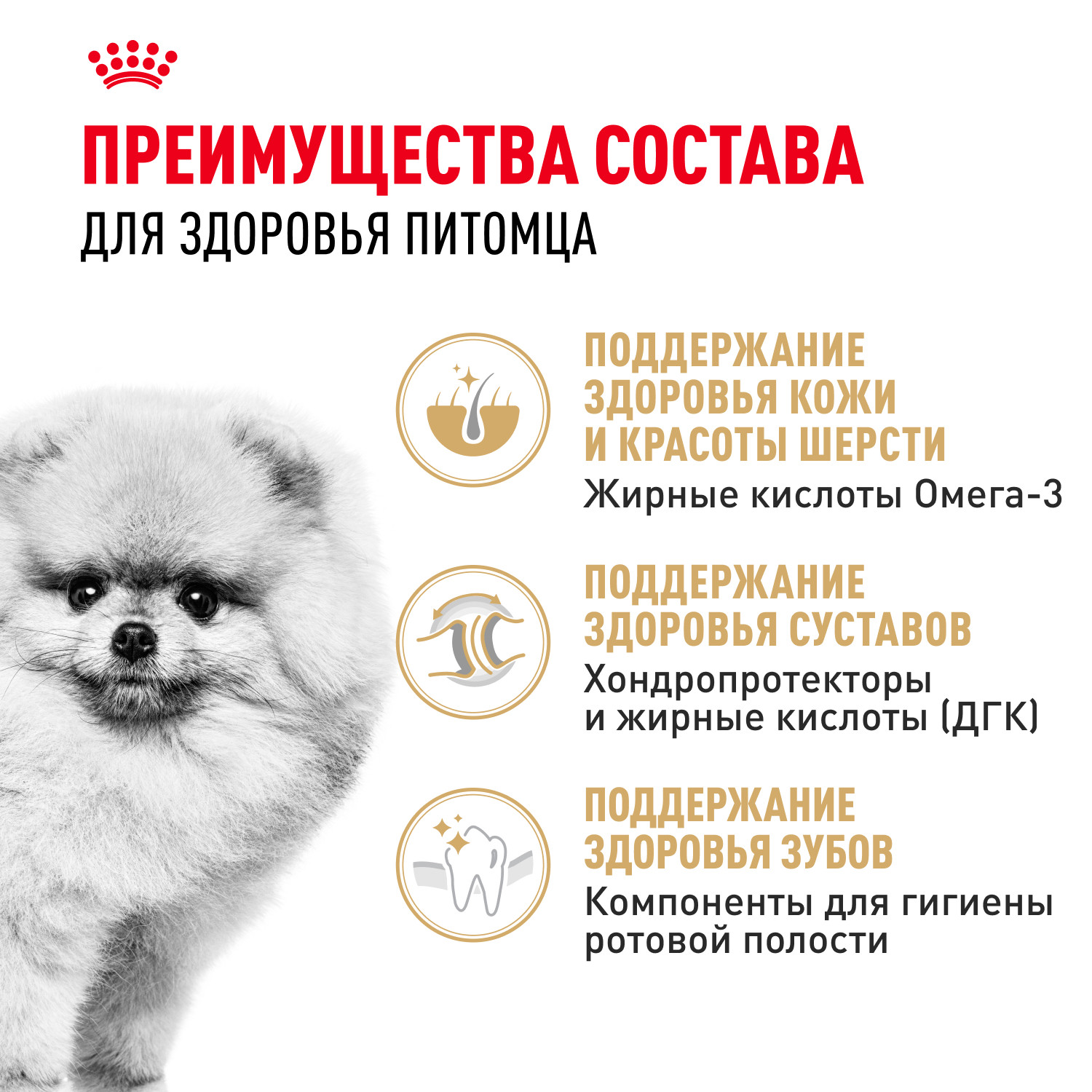 Корм для собак ROYAL CANIN породы померанский шпиц 1.5кг - фото 3