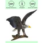 Игровой набор Masai Mara Орел