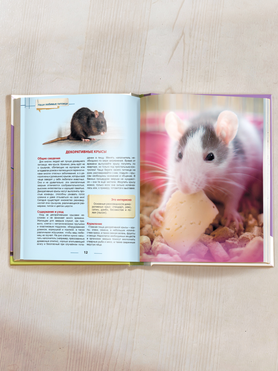 Книга Проф-Пресс Энциклопедия для детей. Наши любимые питомцы - фото 8