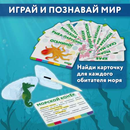 Набор для раскопок Brauberg
