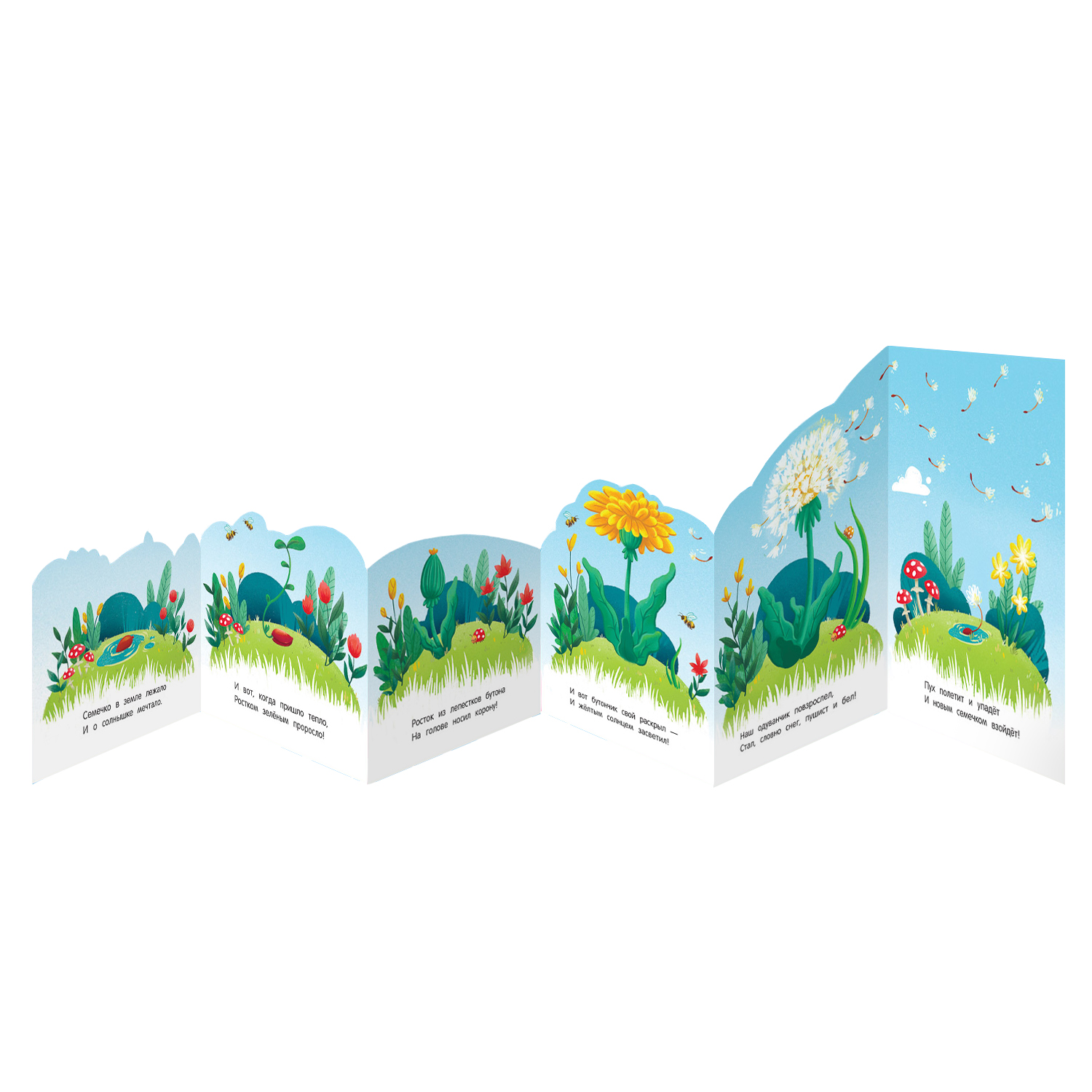 Книга Феникс Премьер Одуванчик книжка гармошка - фото 2