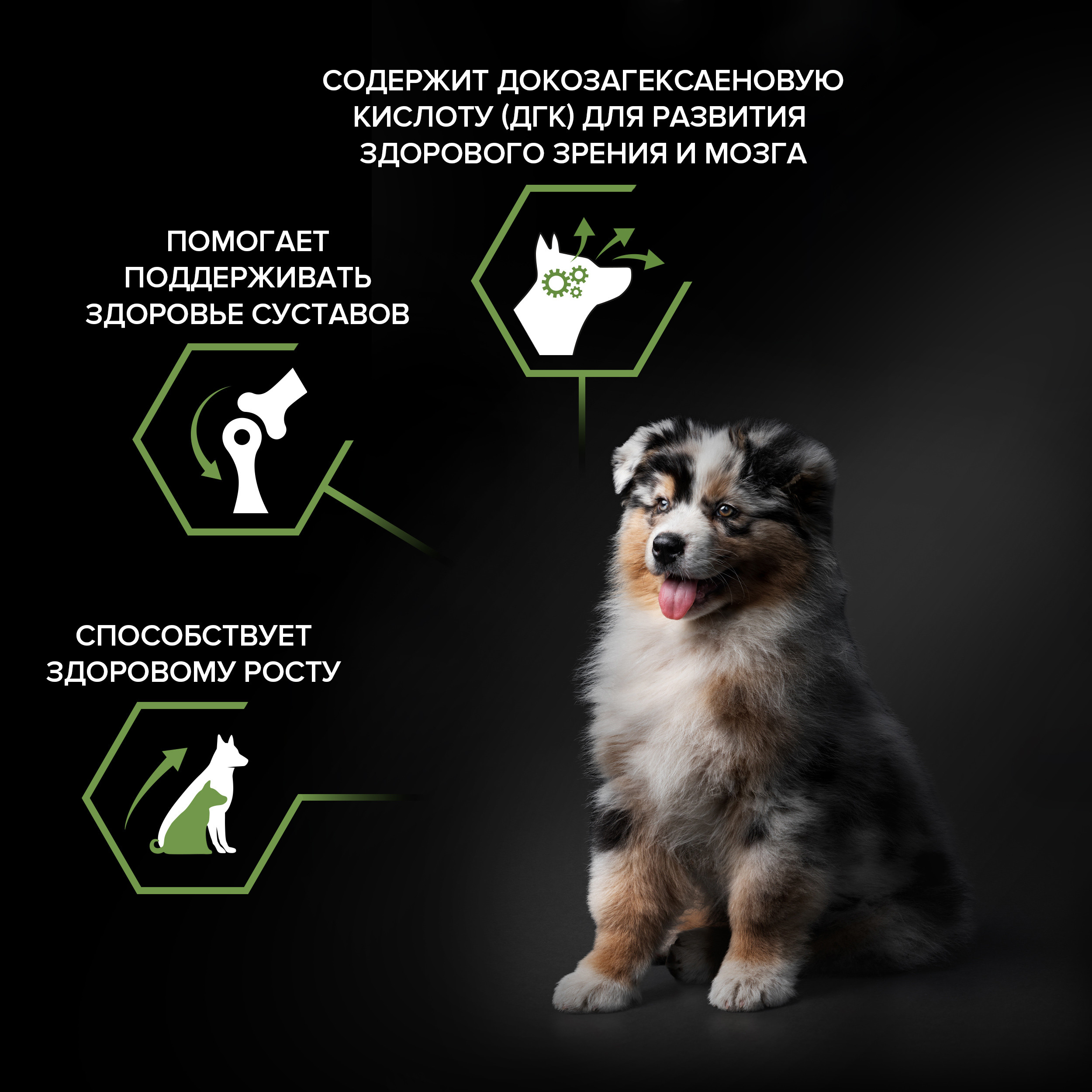 Корм сухой для щенков PRO PLAN HEALTHY START 3 кг с курицей для средних пород - фото 4