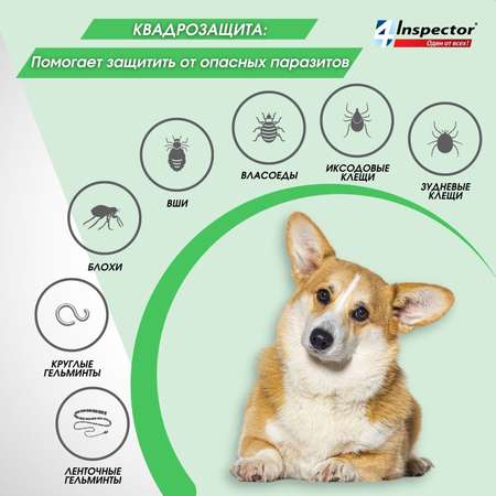 Капли для собак Inspector Quadro на холку 4-10кг 3пипетки