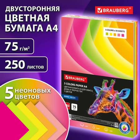 Цветная бумага Brauberg для принтера и школы А4 набор 250 листов 5 цветов
