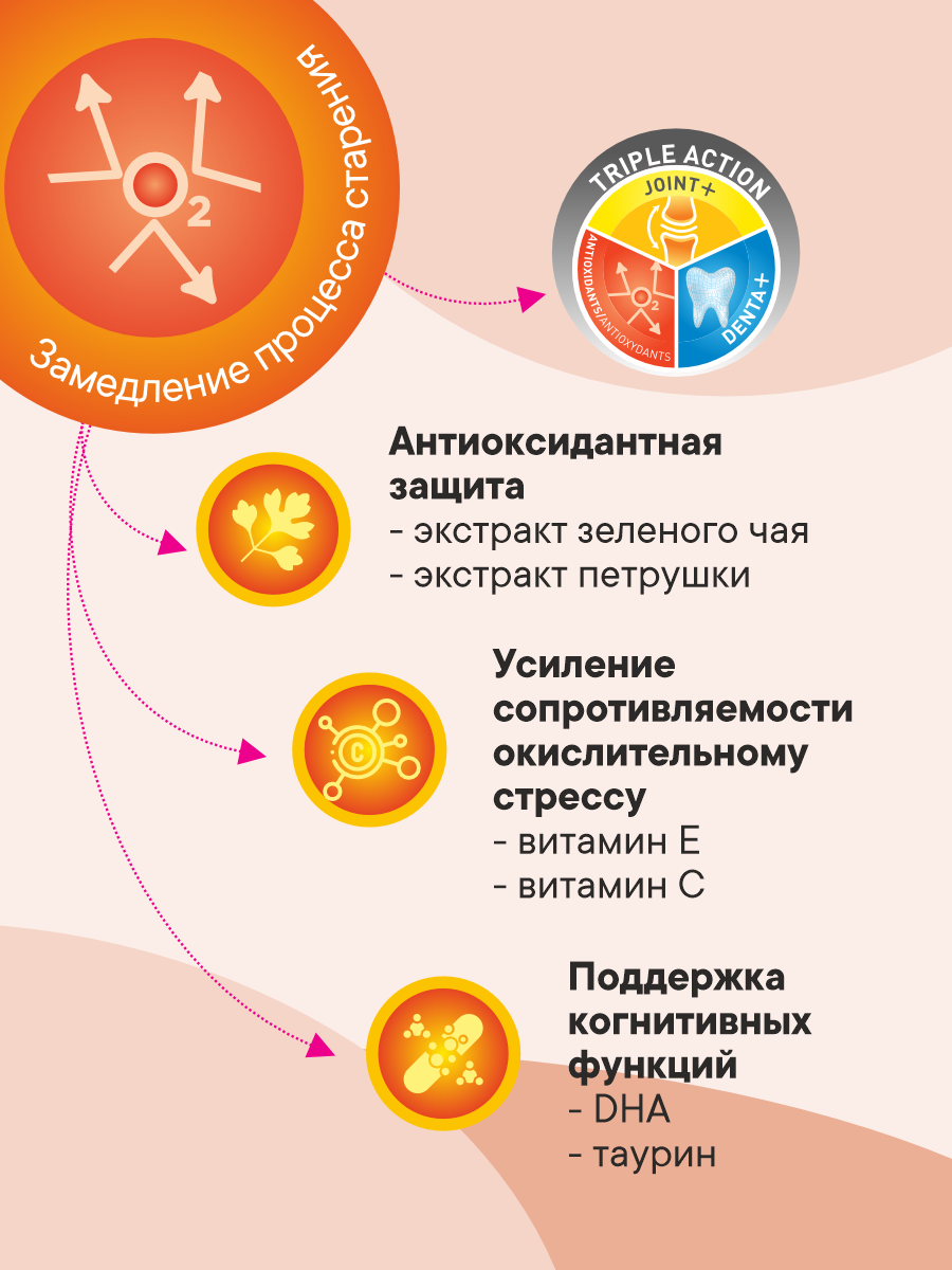 Корм сухой 1st Choice для пожилых собак мелких пород на курице 2.72кг - фото 2
