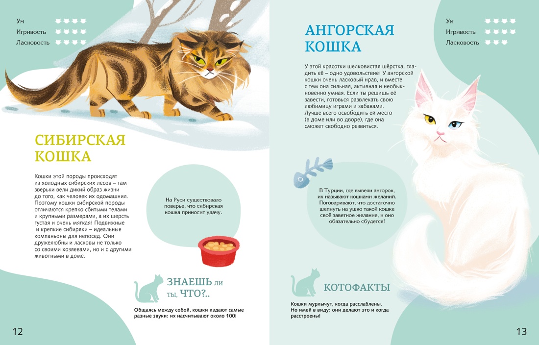 Книга Махаон Энц Вилла А Все все все домашние питомцы - фото 8