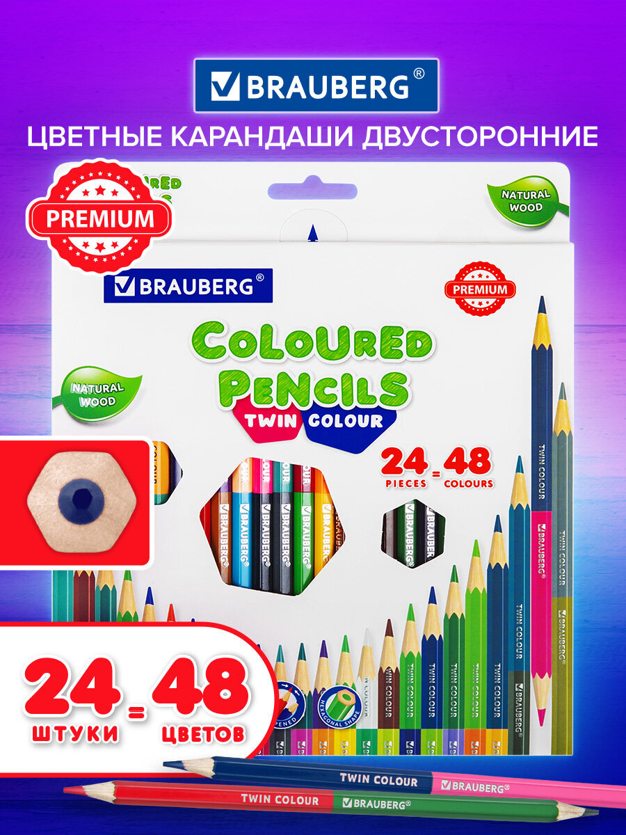 Карандаши цветные Brauberg 24 шт. - фото 2