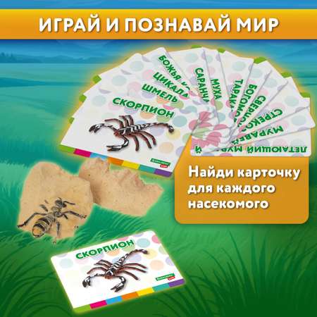 Набор для раскопок Brauberg