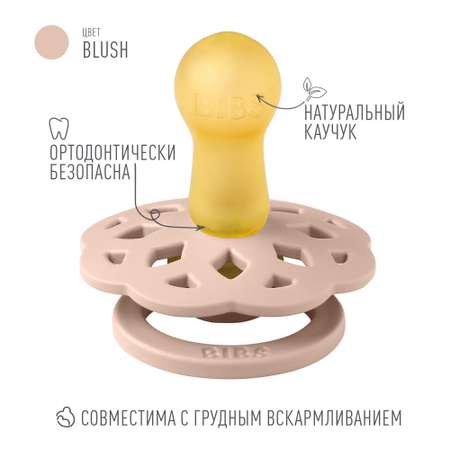 Пустышка BIBS латекс классическая от 6 мес. в ассортименте