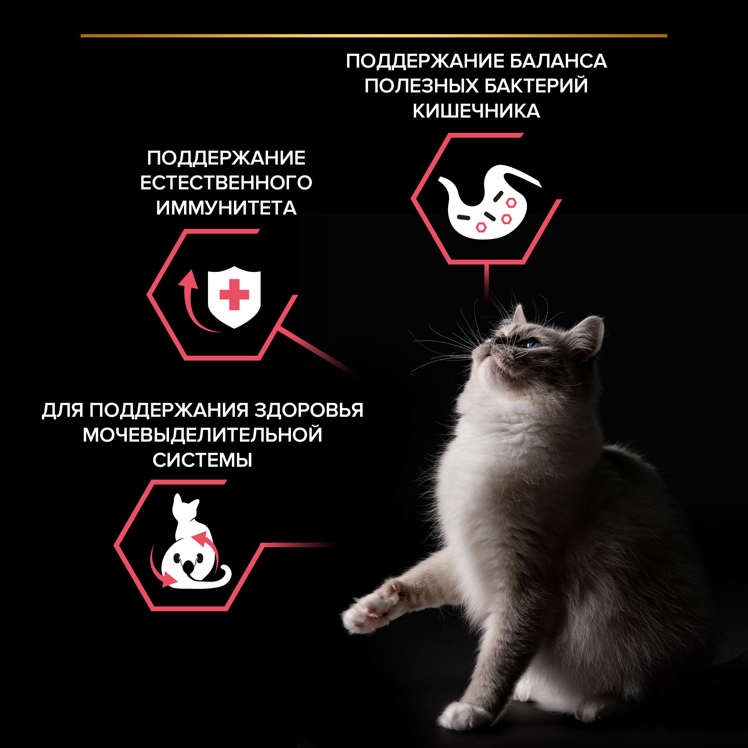 Корм для кошек PRO PLAN Nature Elements стерилизованных курица 200г - фото 4