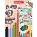 Карандаши Brauberg 12 шт.