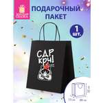 Пакет подарочный Золотая сказка большой крафтовый на день рождения