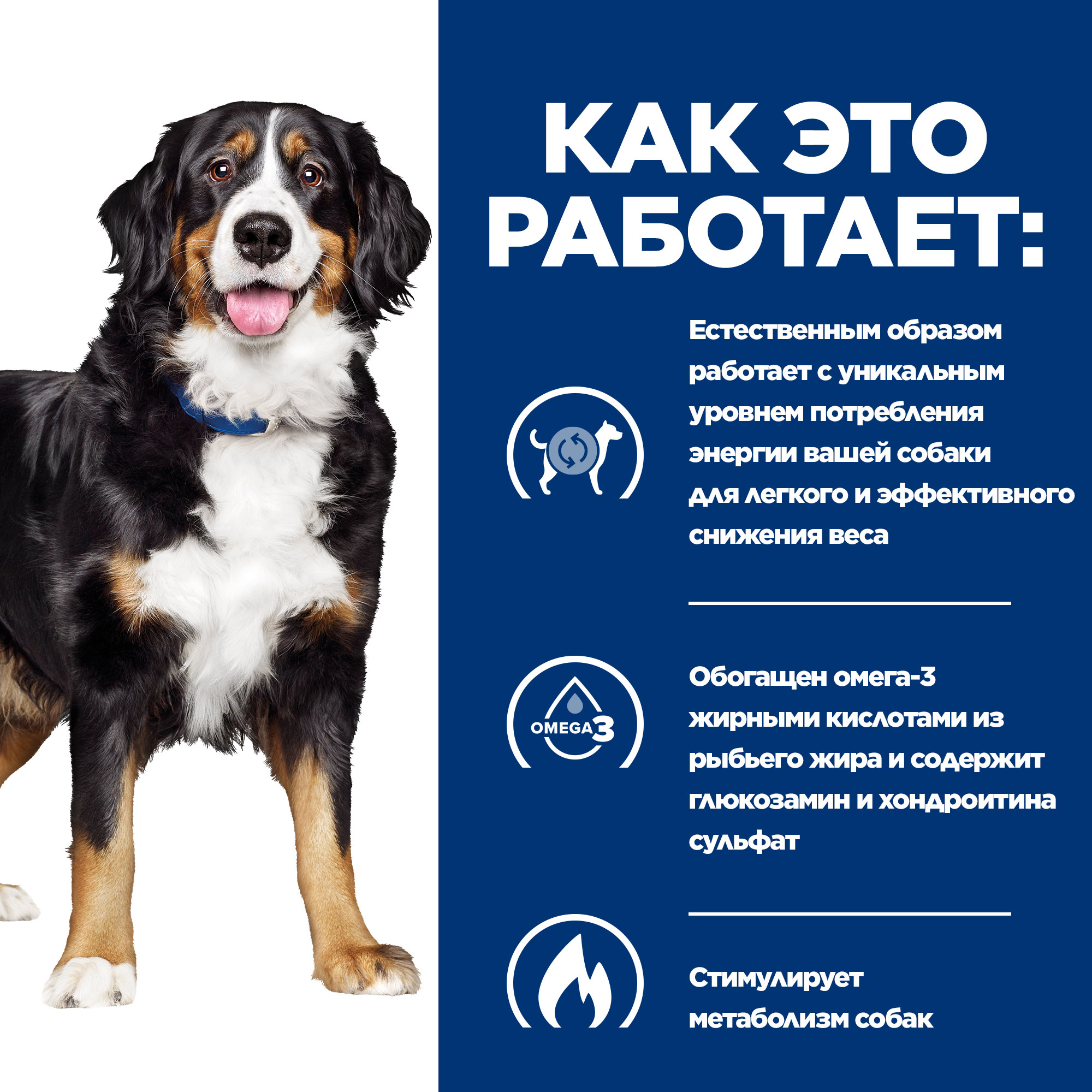 Корм для собак Hills 370г Prescription Diet Metabolic+Mobility диетический с курицей - фото 4