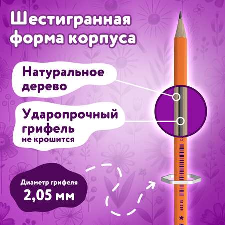 Карандаши чернографитные Юнландия 1 шт.