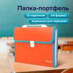 Папка для тетрадей Brauberg А4