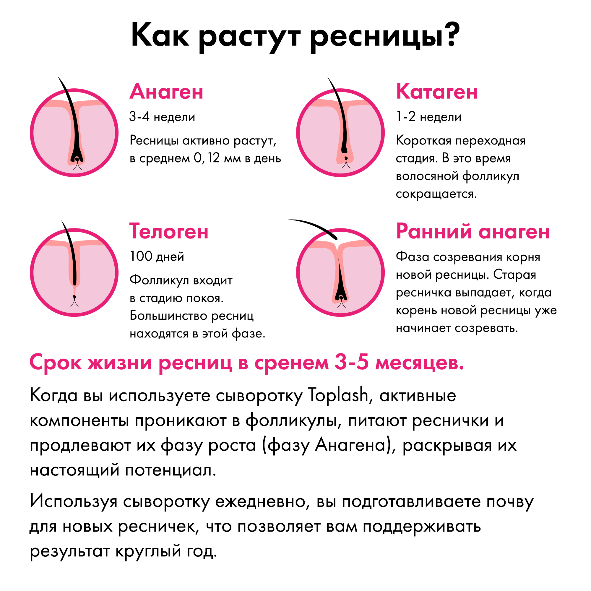 Сыворотка для роста ресниц Toplash lash and brow booster - фото 8
