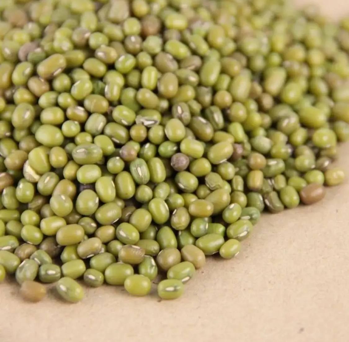 Семена для микрозелени Никольские ПроРостки бобы Мунг - фото 3