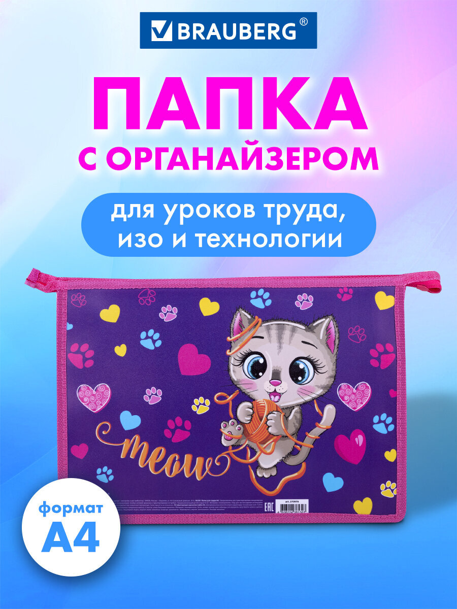 Изображение товара Папка для труда Brauberg А4 на молнии для девочек Изображение товара Папка для труда Brauberg А4 на молнии для девочек