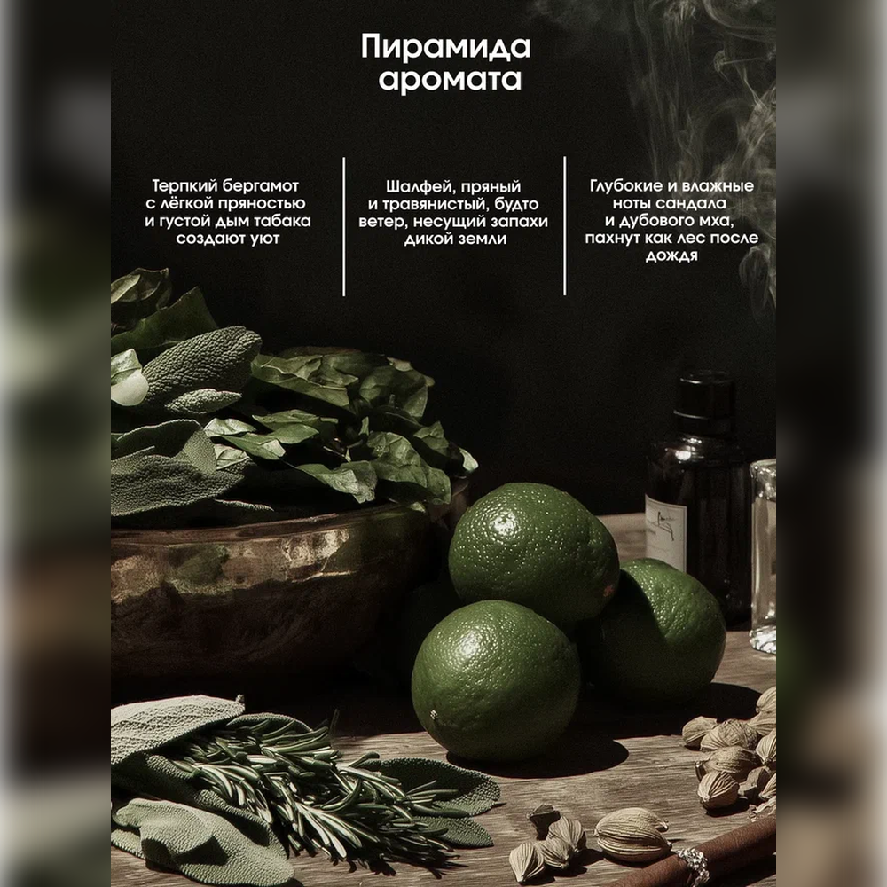 Гель для душа мужской La Fabrique 2 в 1 с ароматом табак-бергамот 500 мл - фото 2