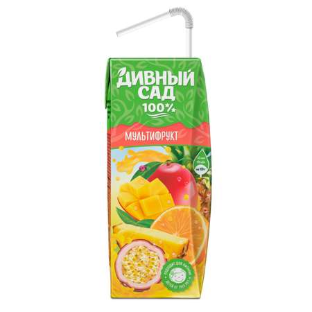 Нектар Дивный сад мультифруктовый 0.2л