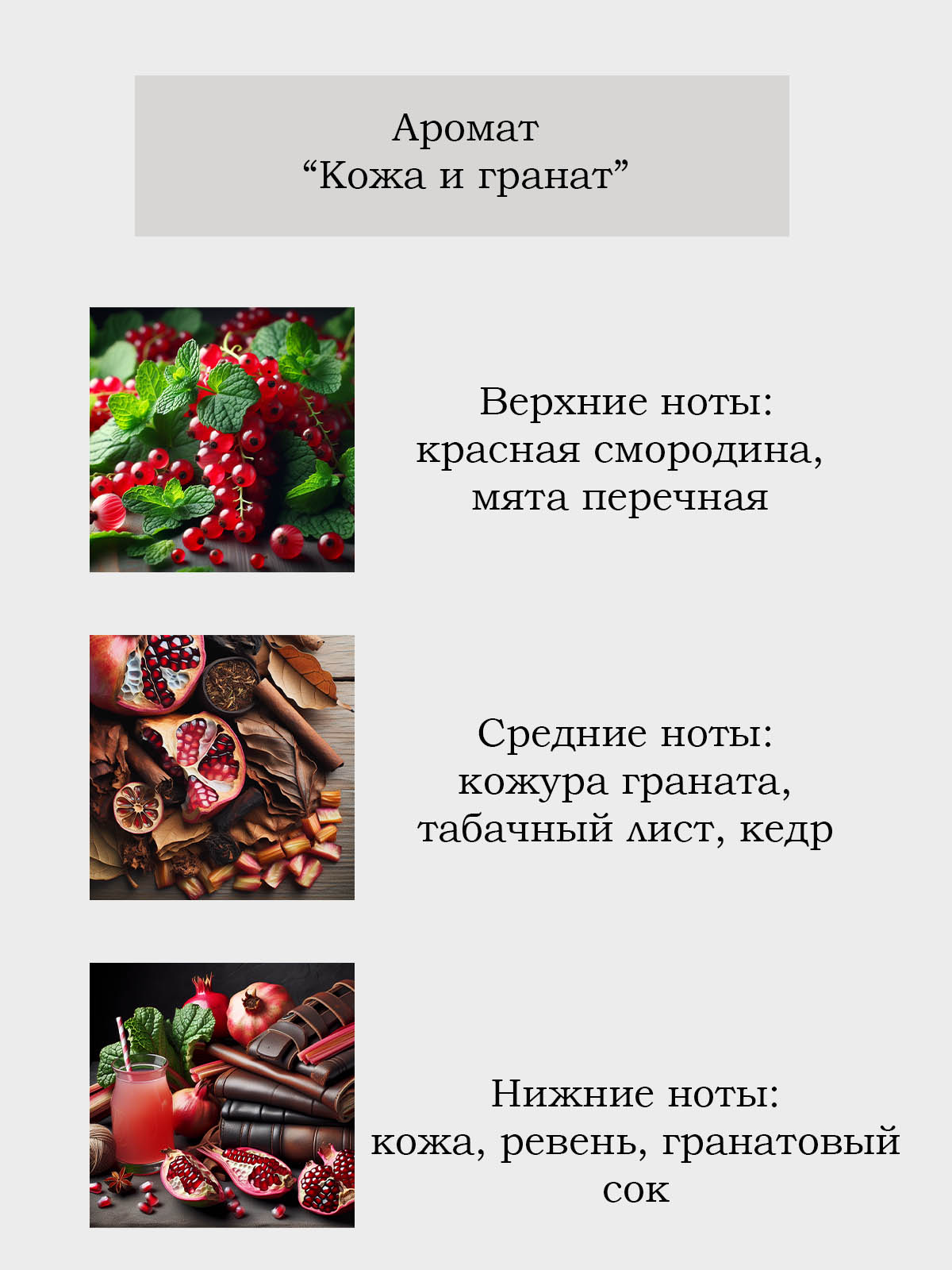 Диффузор для дома с палочками Plates and More Кожа и гранат 50 мл - фото 2