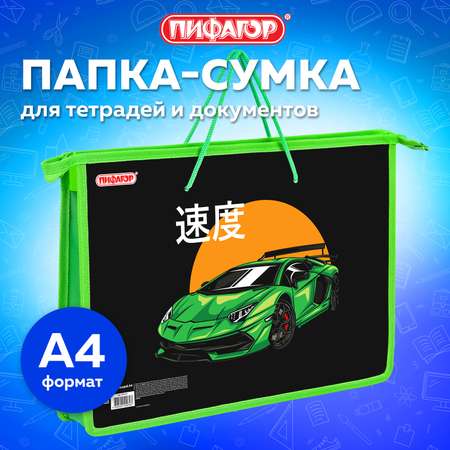 Папка для тетрадей Пифагор А4