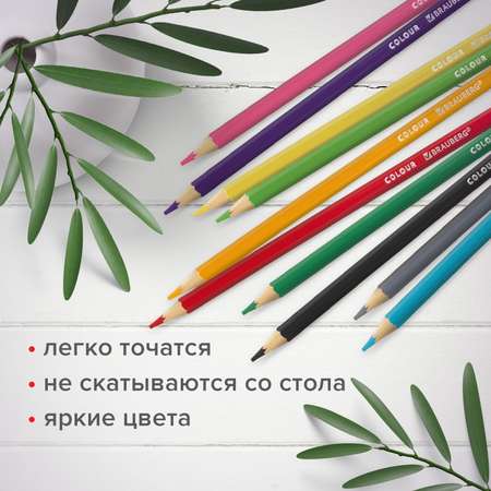 Карандаши цветные Brauberg 24 шт.