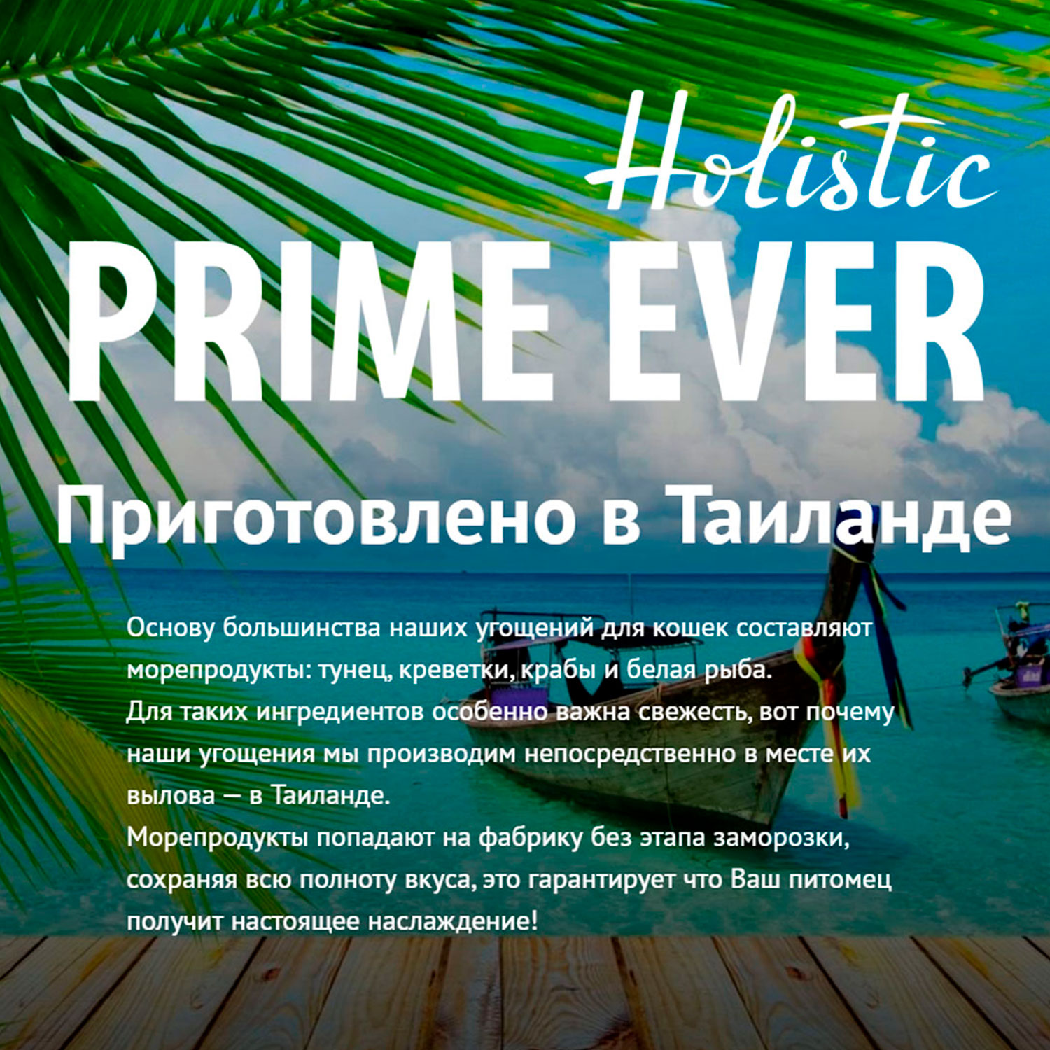 Корм для кошек Prime Ever цыпленок с креветками в желе влажный 0.08кг - фото 7