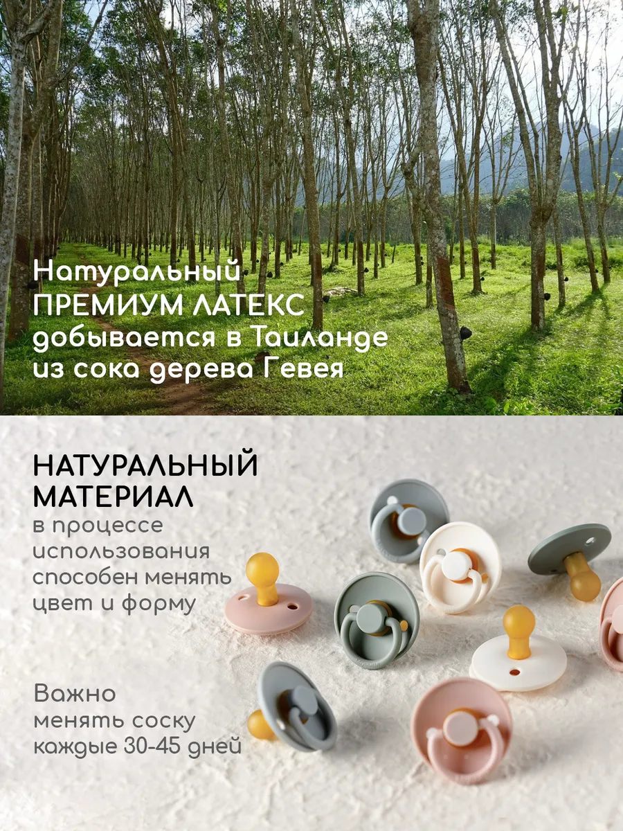 Пустышка Miyoumi анатомическая от 0 мес. 4 шт. - фото 6
