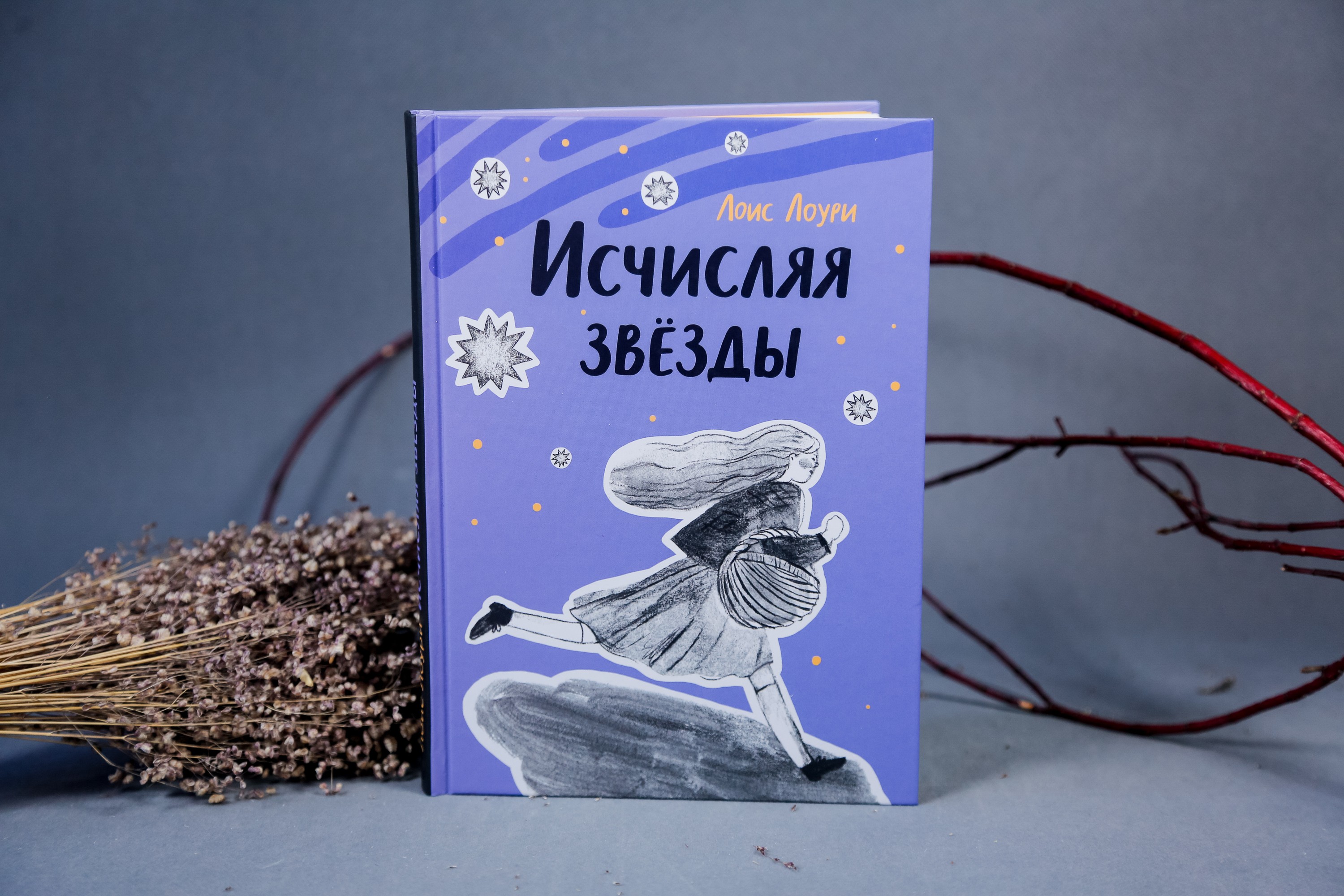 Книга Волчок Исчисляя звёзды - фото 4