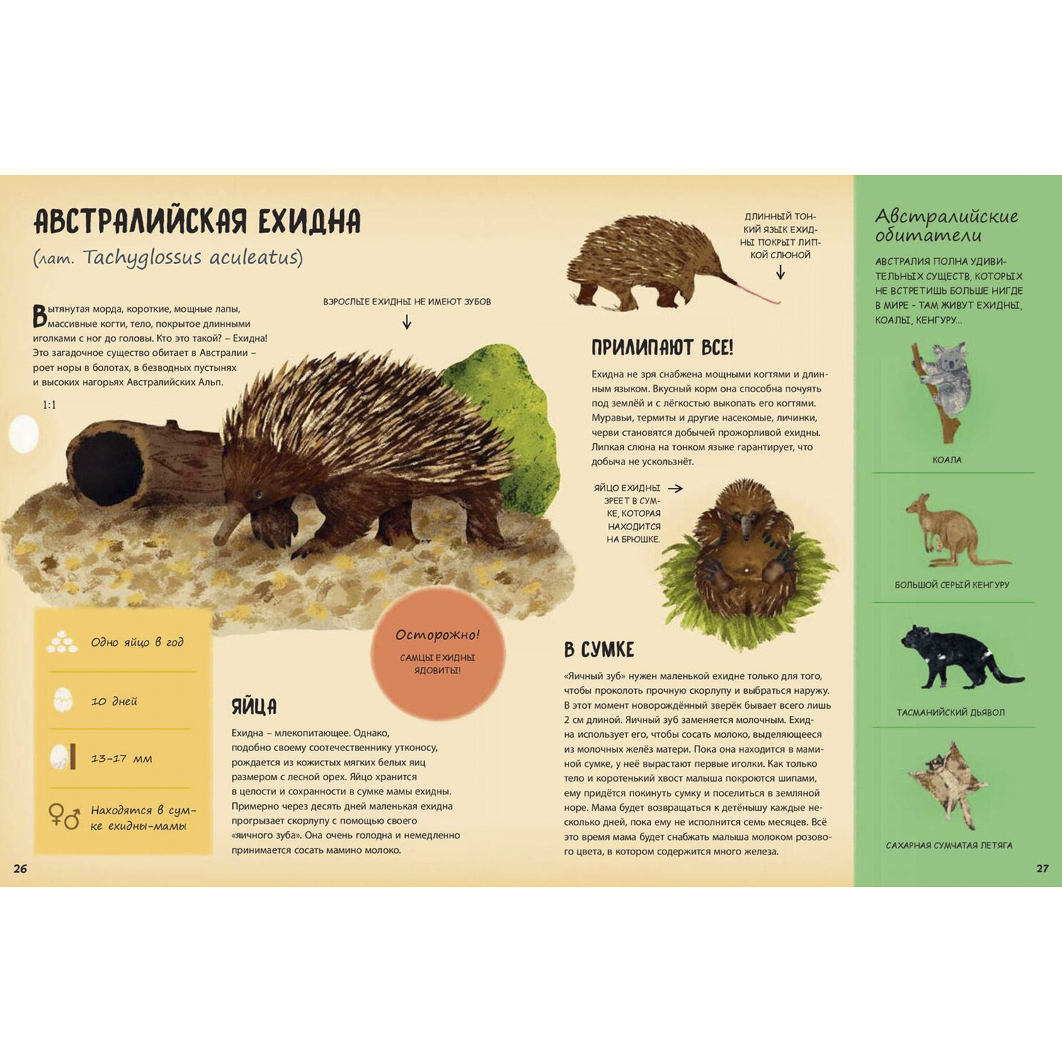 Книга ЭНАС-книга Кто появляется на свет из яйца? - фото 5