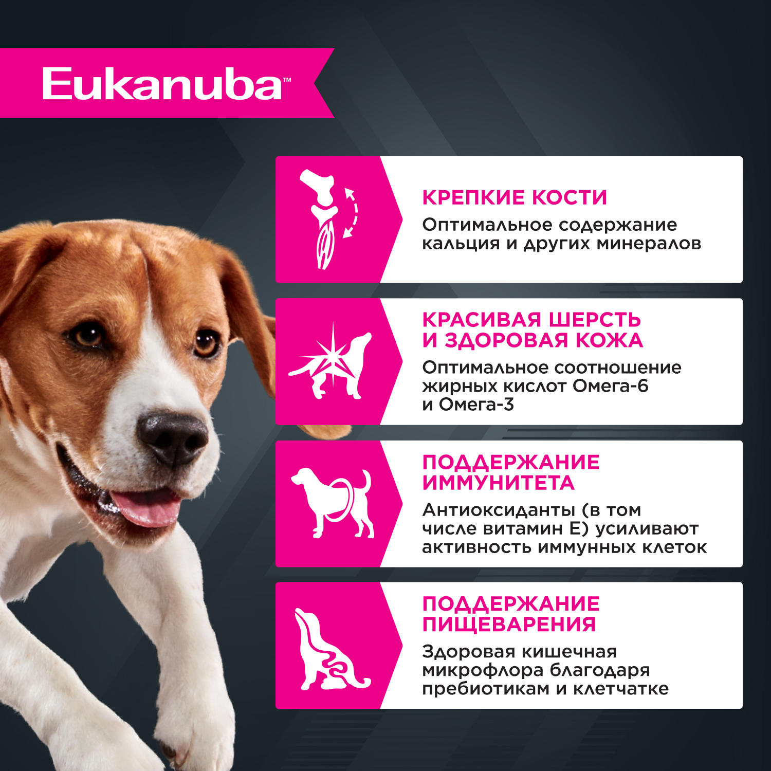 Корм для собак Eukanuba 100г с ягненком в соусе пауч - фото 2