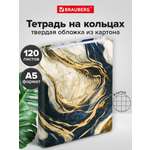 Тетрадь Brauberg клетка