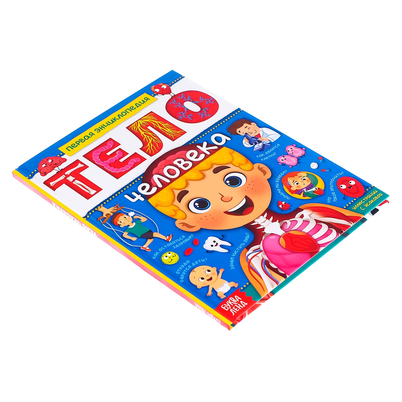 Энциклопедия Буква-ленд Тело человека - фото 6