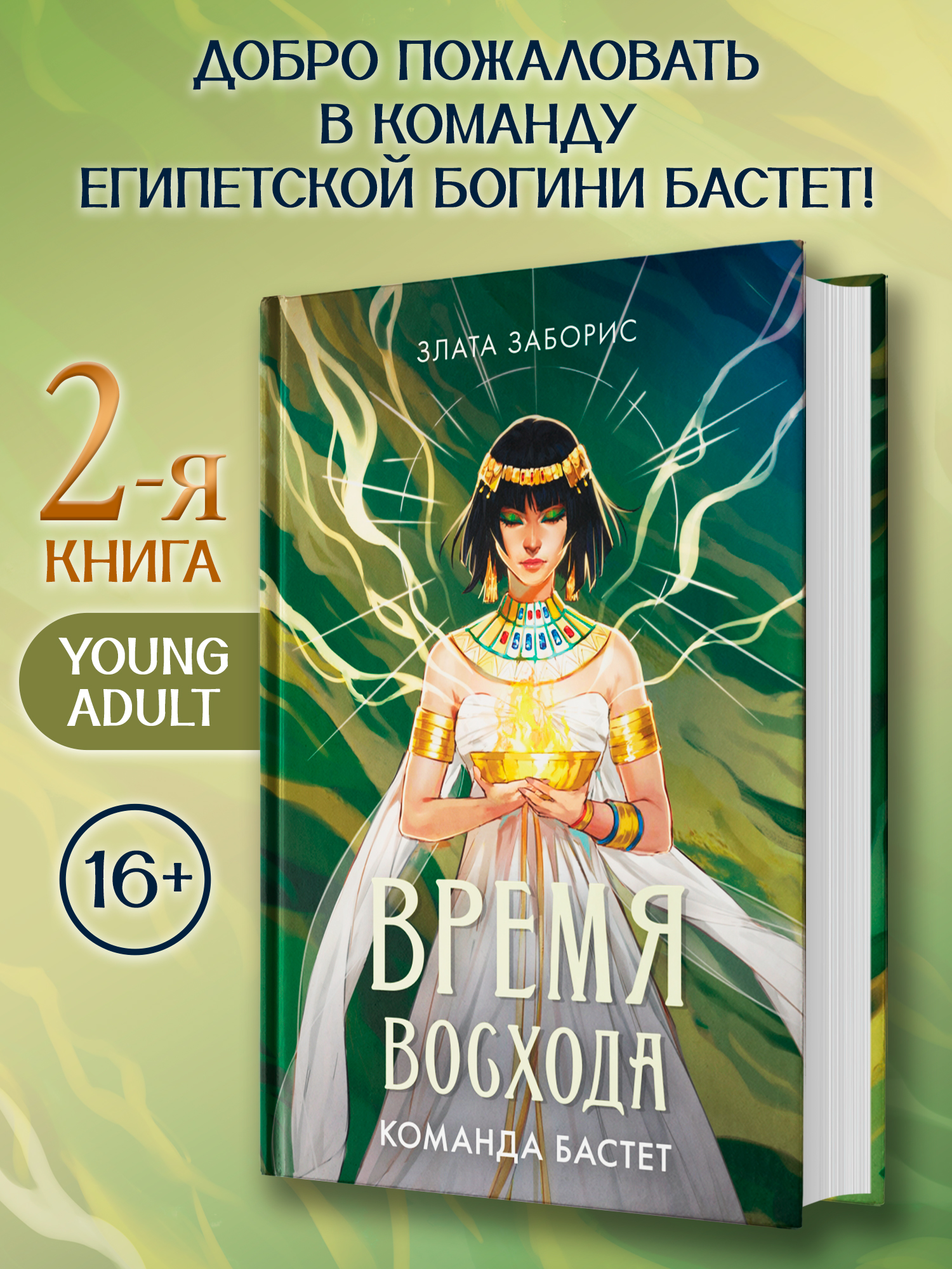 Время восхода Команда Бастет Феникс Книга - фото 1