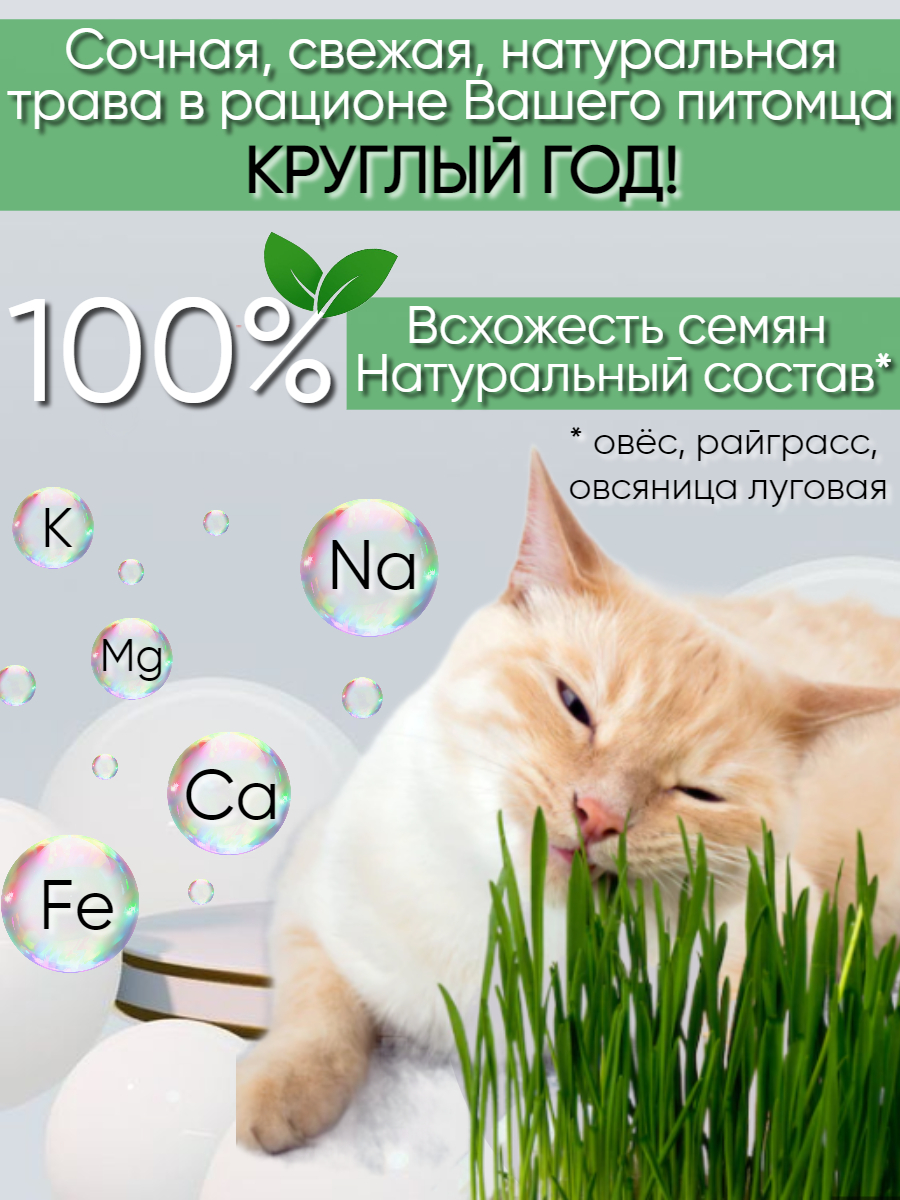 Трава для кошек Nestingbox семена для проращивания - фото 2