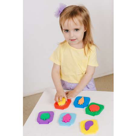 Игрушка ElBascoToys сортер