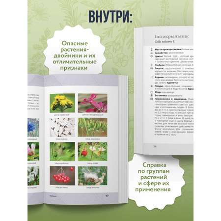 Книга Эксмо Лечебные травы. Иллюстрированный справочник-определитель