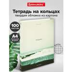 Тетрадь со сменным блоком Brauberg клетка