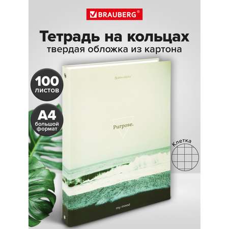 Тетрадь со сменным блоком Brauberg клетка