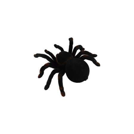 Паук РУ Cute Sunlight Toys Tarantula