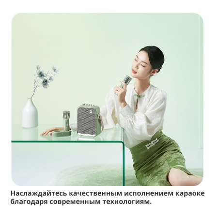 Беспроводная колонка DIVOOM портативная с двумя микрофонами SongBird-HQ зеленая