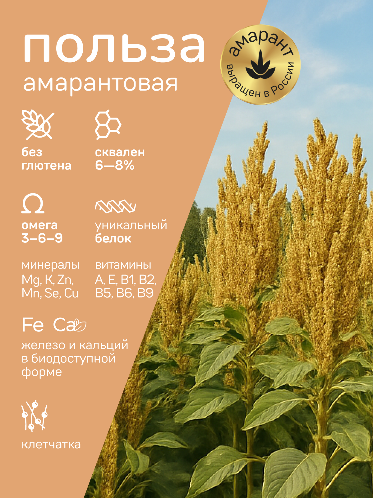 Каша амарантово-овсяная Amarancho с изюмом миндалем и корицей - фото 5