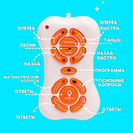 Кошка РУ Автоград Умный котёнок