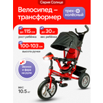 Трехколесный велосипед Velobibi 10 дюймов