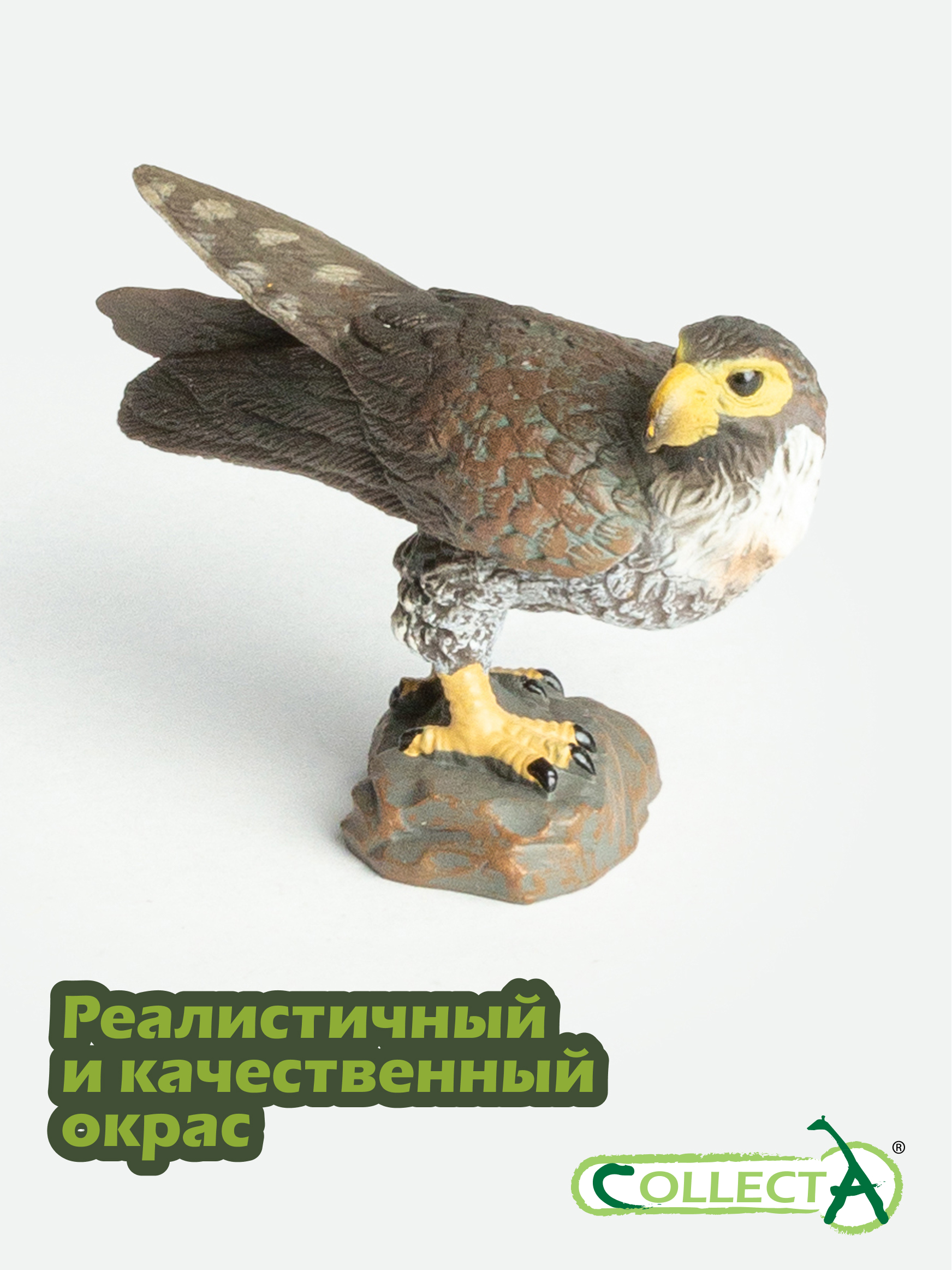 Фигурка Collecta Сокол 4.5 см - фото 4