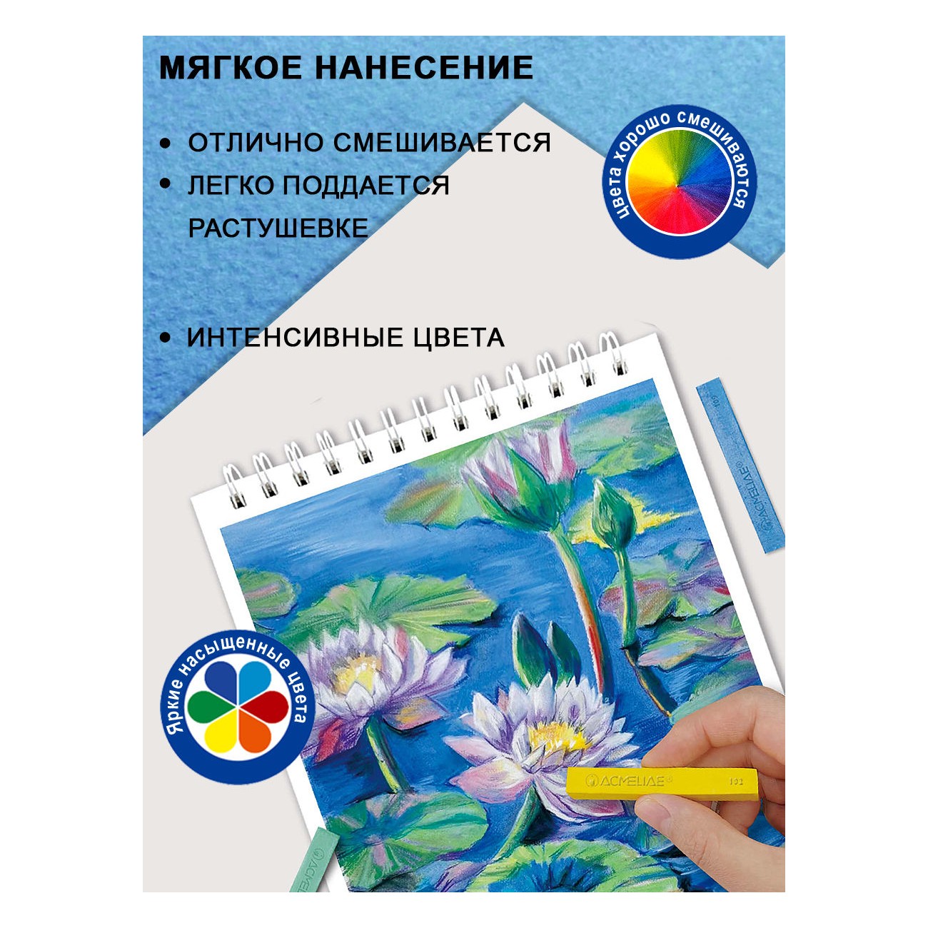 Пастель художественная сухая ACMELIAE 12 шт. - фото 5