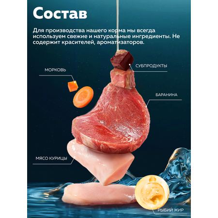 Корм влажный Зоогурман Holistic С курицей и ягненком 100 г х 20 шт