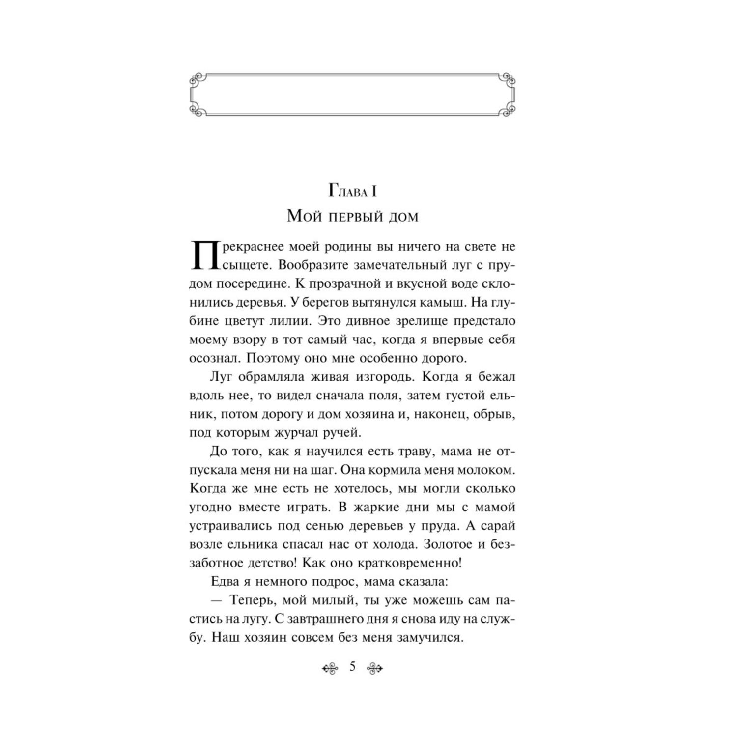 Книга Эксмо Черный красавчик - фото 2